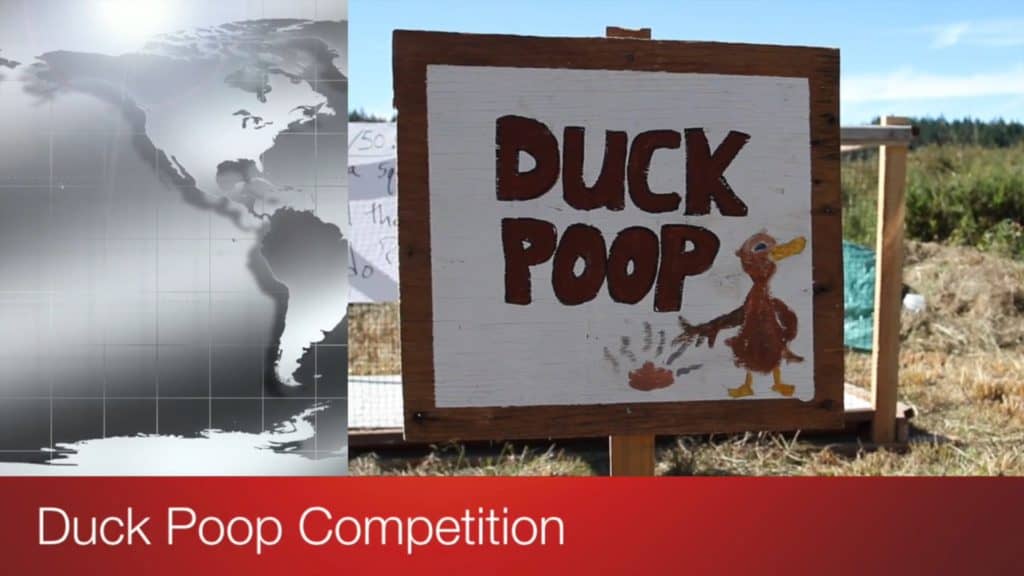 Duck Poop Competition